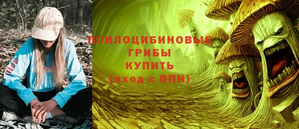гидропоника Елабуга