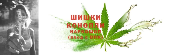 гидропоника Елабуга