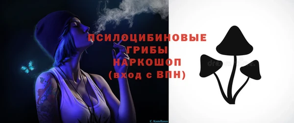 гидропоника Елабуга
