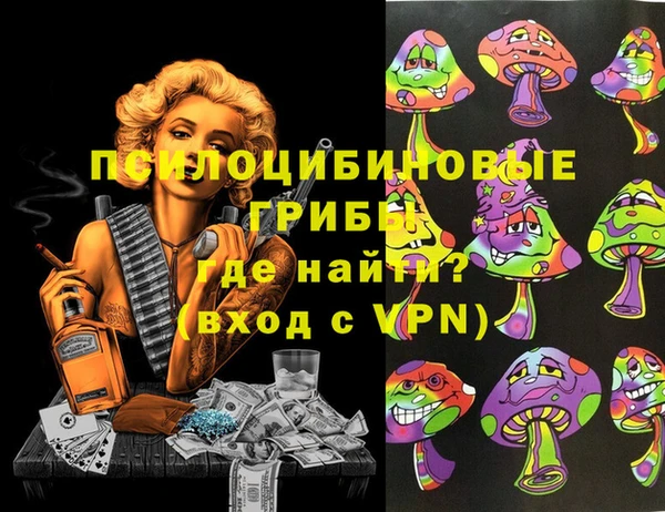 гидропоника Елабуга