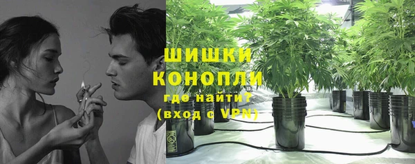 круглые Ельня